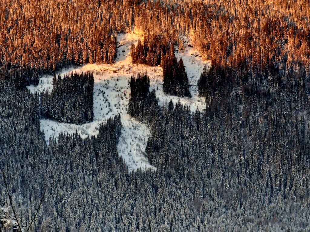 Hafjell er virkelig et fantastisk sted for naturelskere, enten det er sommer eller vinter.